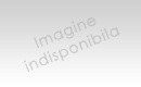 BACAU vind dacia 1310 l